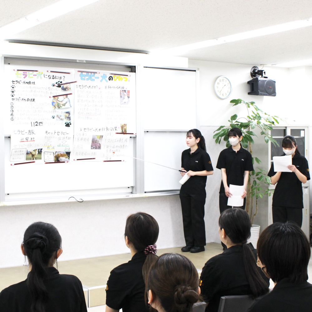 １年生のグループ研究発表会！